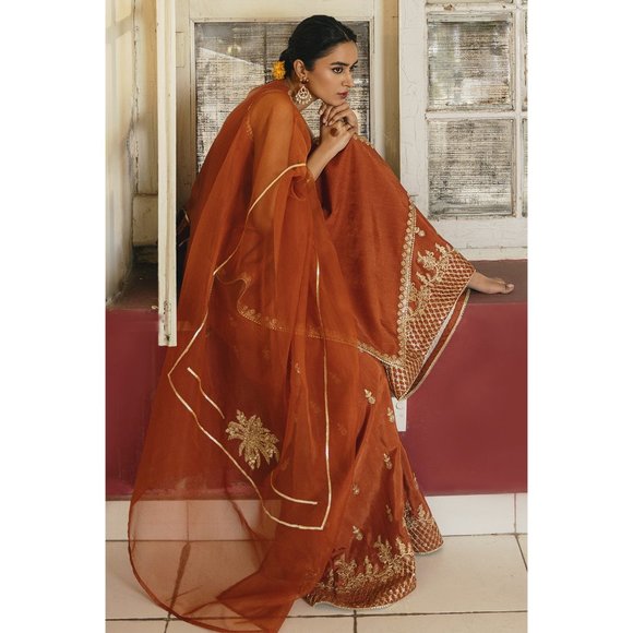 Punjabi Pakistani Gorgeous Rust Outfit: Three-Piece Set! - Picture 6 of 6